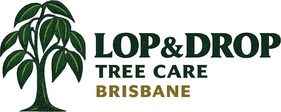 Lop & Drop Tree Care Brisbane